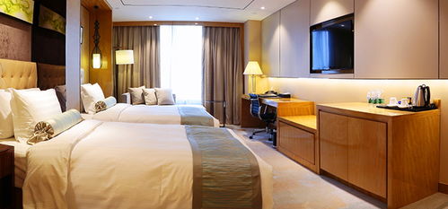 酒店住宿体验 从选择到入住的全面指南